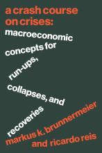 Markus K. Brunnermeier/Ricardo Reis: A Crash Course on Crises