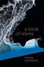 Stefan Helmreich: A Book of Waves