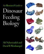 Ali Nabavizadeh/David B. Weishampel: An Illustrated Guide to Dinosaur Feeding Biology